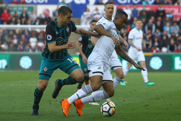 规划阵容的 规划阵容的